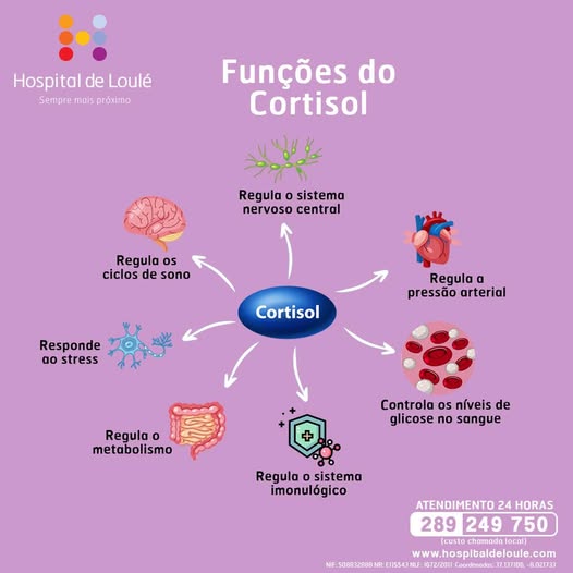 Cortisol: conhece a hormona que gere o stress?